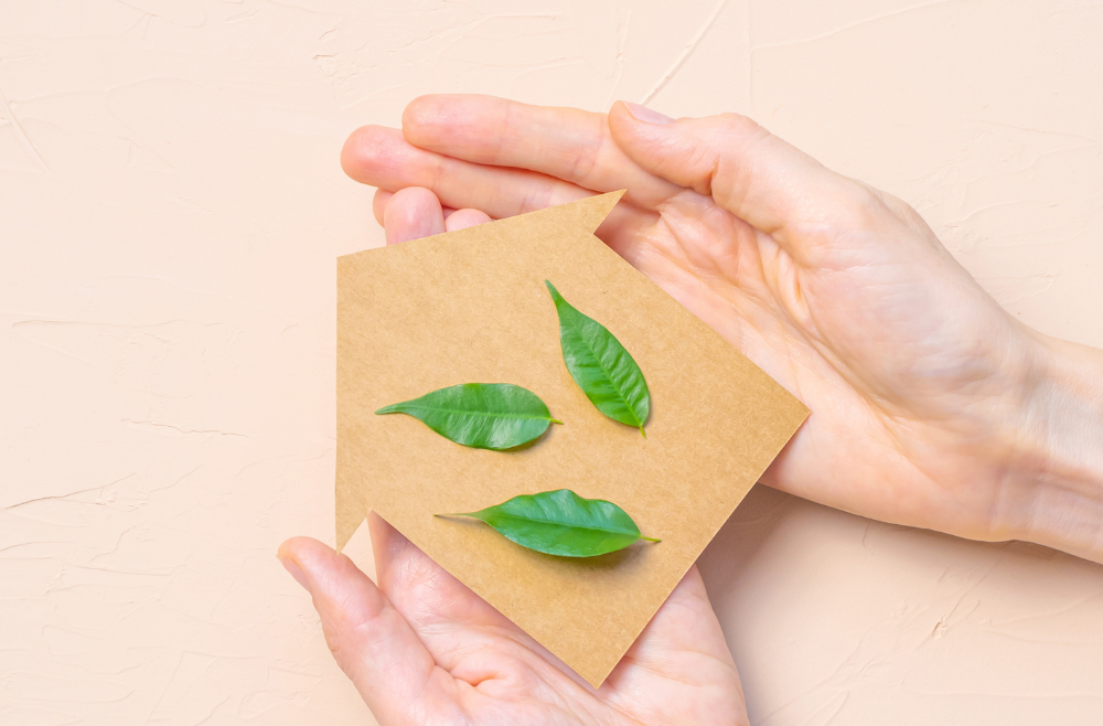 Why Eco-Friendly Cleaning is Better for Your Health & Home