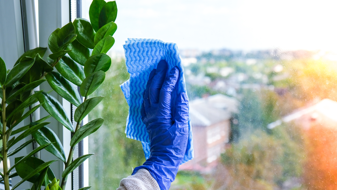 Deep Cleaning vs Regular Cleaning: What’s the Difference?