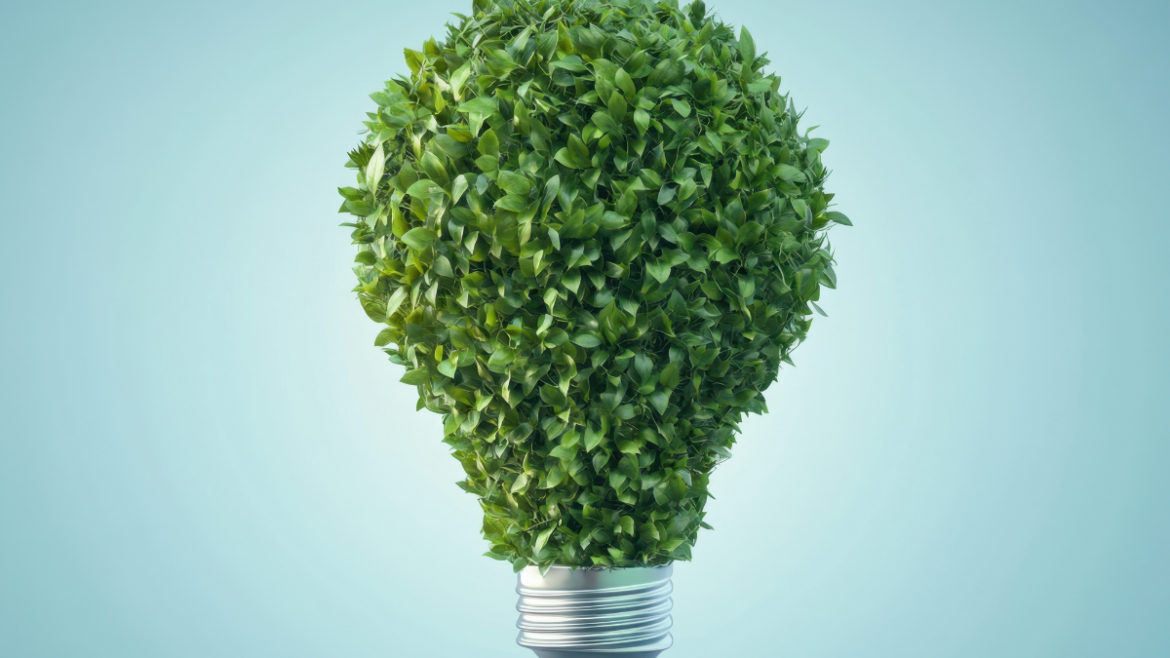 Eco Friendly Cleaning Services in Camarillo California